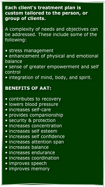 Each client's treatment plan is custom tailored to the person, or group of clients. 

A complexity of needs and objectives can be addressed. These include some of the following: 

• stress management
• enhancement of physical and emotional balance 
• sense of greater empowerment and self control 
• integration of mind, body, and spirit.

BENEFITS OF AAT:

• contributes to recovery
• lowers blood pressure
• increases self-care
• provides companionship
• security & protection
• increases concentration
• increases self esteem
• increases self confidence
• increases attention span
• increases balance
• increases endurance
• increases coordination
• improves speech
• improves memory