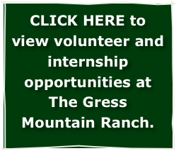 CLICK HERE to view volunteer and internship opportunities at The Gress Mountain Ranch.